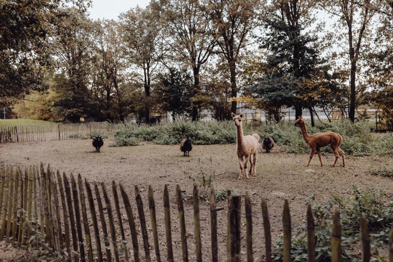 Het Hilkensberg Park Villa Broekhuizen  Luaran gambar